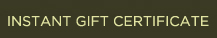 Therapeutic Massage To Go Gift Certificates